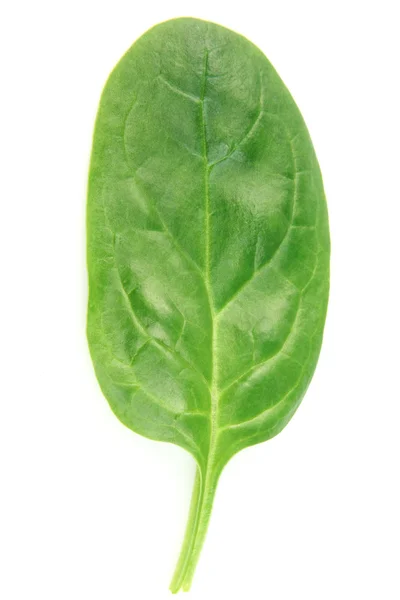 Leveles paraj 2,5 kg